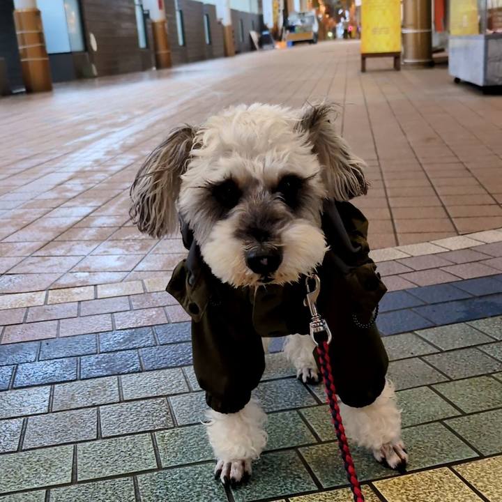 Fc515f03 69c6 40df a06a b747b7efcbdb 1749601124913