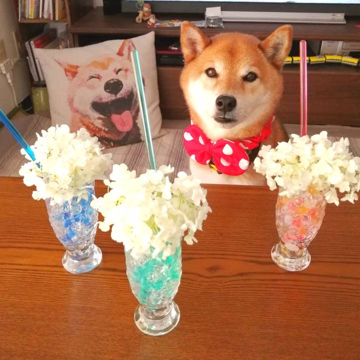 Fc516482 608a 49ce 8b0a 147011179be6 1656393290743