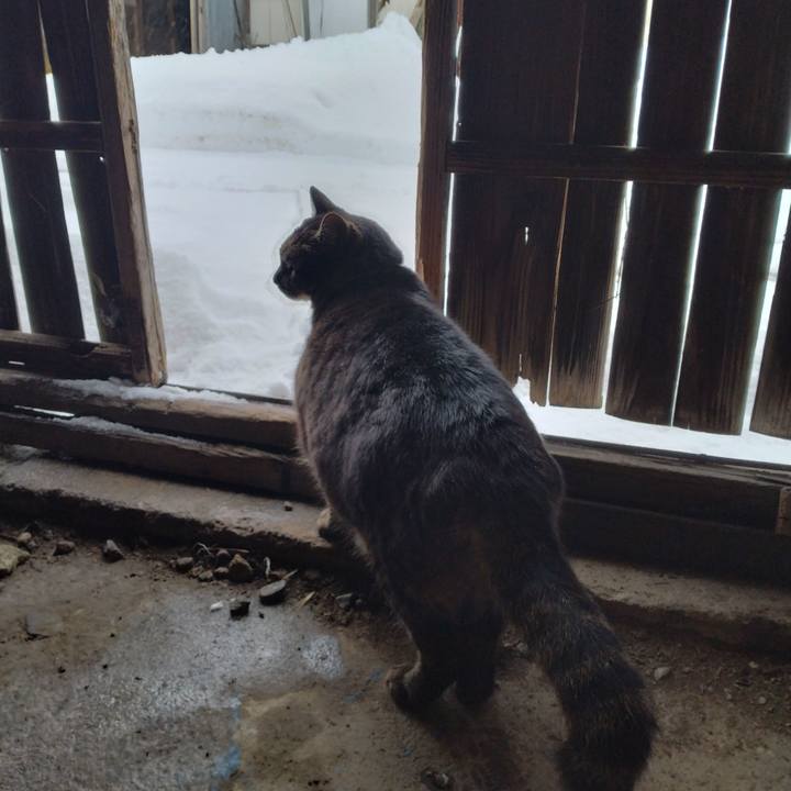 Fc51ab20 4387 442c b72c 4005c645f127 1671845536877