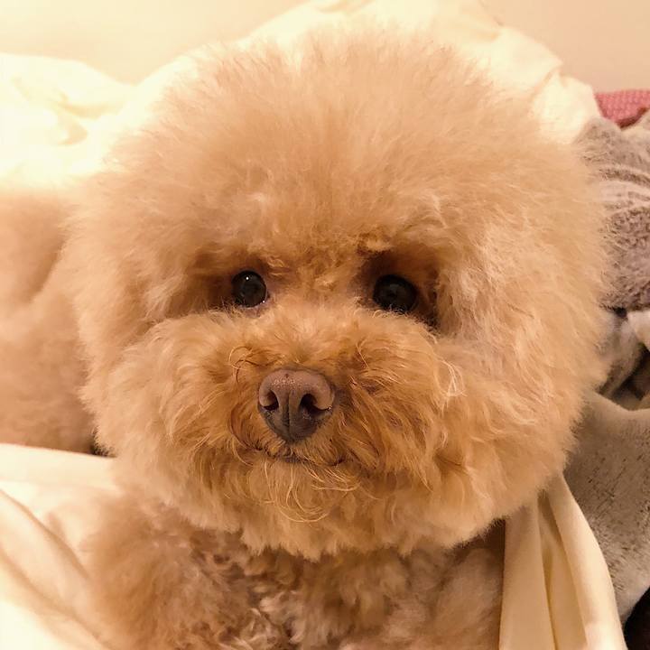 Fc51da23 a512 46da adba d97932d1d2cc 1532867276522