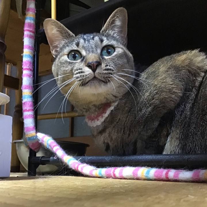 Fc51f70c dd75 4be0 bf05 e33defcfb283 1651917870367