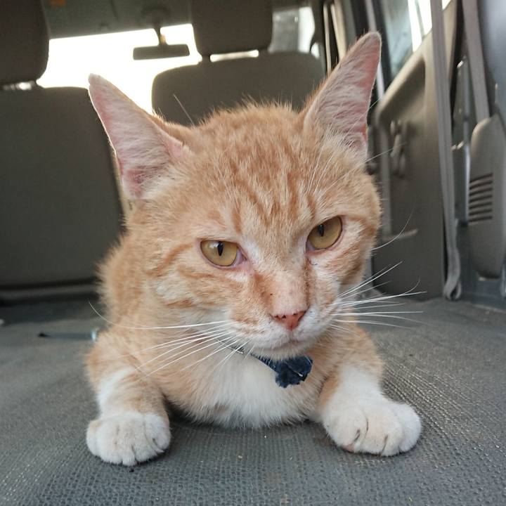 Fc5242e0 55b7 414a ad0b a5b02f26f4e0 1559641346185