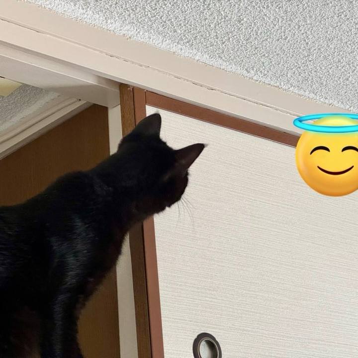 Fc524df6 af5d 4d6f b95e da05b6852a06 1755923233617