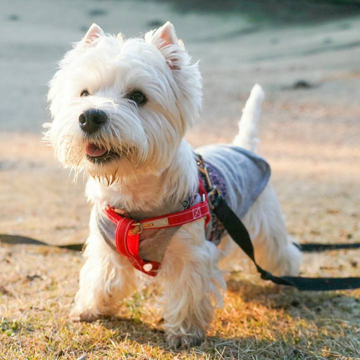 Fc524f33 1280 48c8 a03e 450c9faa531e 1514373778156