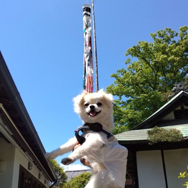 Fc526c64 27be 4452 a42a 1408c65f5bd3 1651918092635