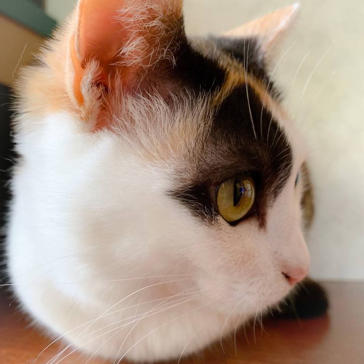 Fc52787a 432d 4b8e b816 83ae6d7d1035 1561166858348