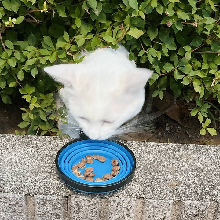 Fc52a01b 2111 4692 b0df 835255d6ee8c 1657856857801