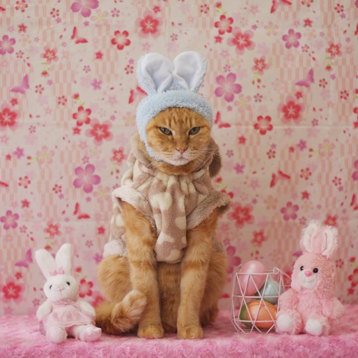 Fc52cdd3 959c 4ee8 89d1 b2312188ab76 1649759777085