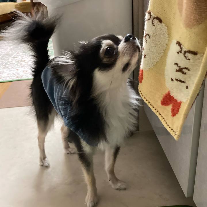 Fc5335b9 c148 4cbc 8d50 c9e9bc7a23d5 1652534610427