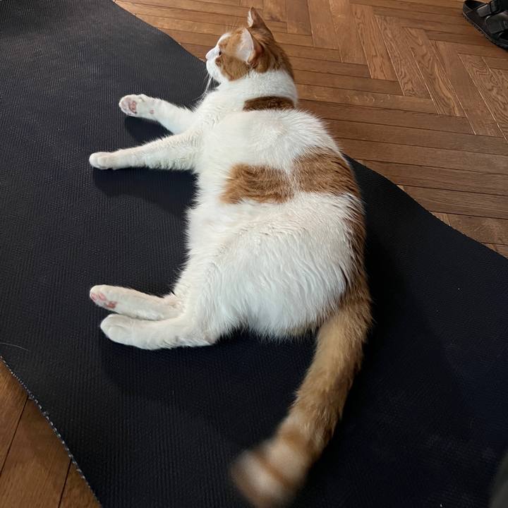 Fc53485d 0632 43e8 8dab 817cd651c9ab 1772114500426