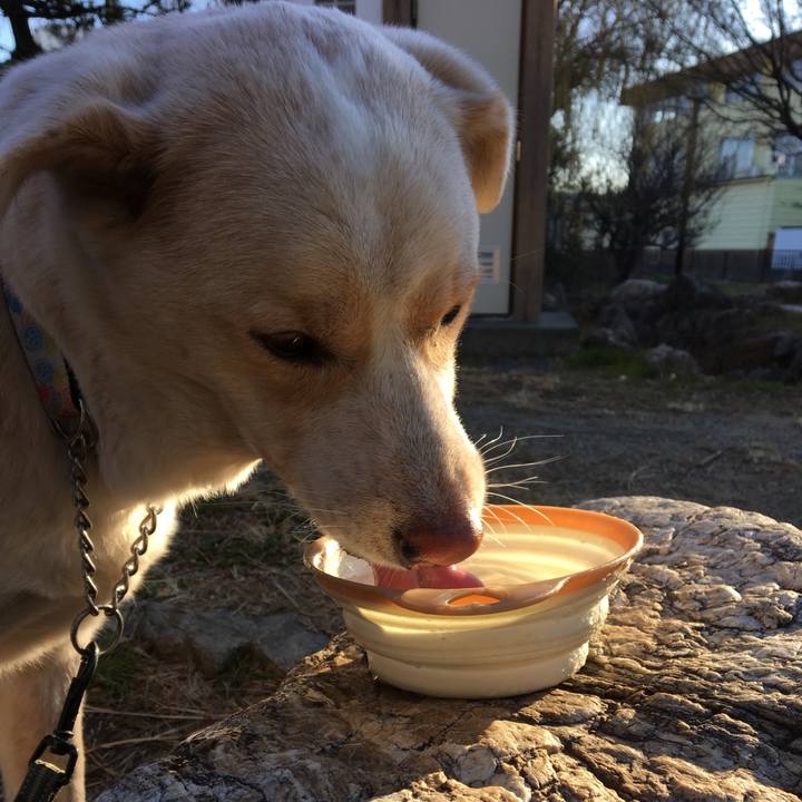 Fc535b2a ecdd 42d3 b512 f9d4266d0c06 1515021389056