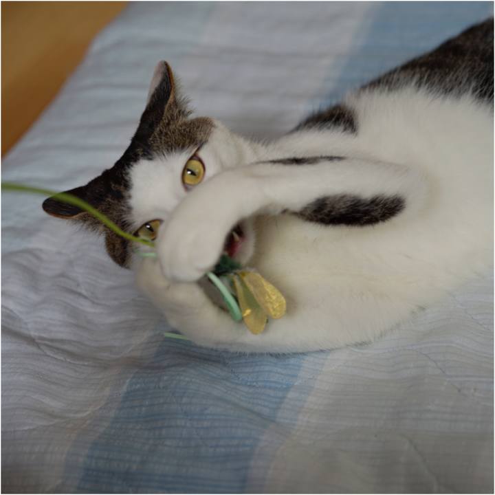 Fc537a41 3bc4 4305 96e0 02169c8a3414 1557219040832