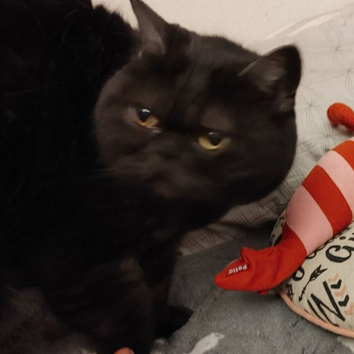 Fc53822f ef3f 4ffe 947b 1e2dffe84fcf 1619655245220