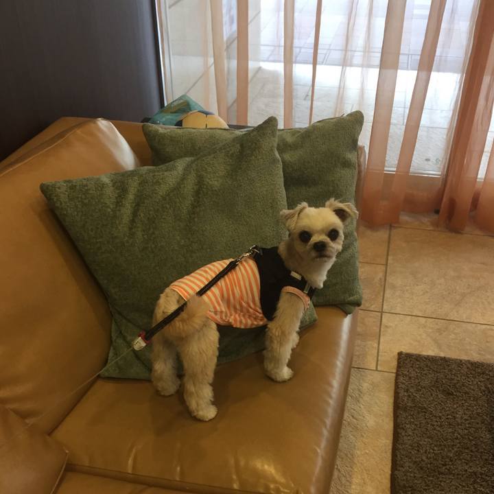 Fc5389cd 2994 4bdf b1e8 eaff037bb80f 1556857395407