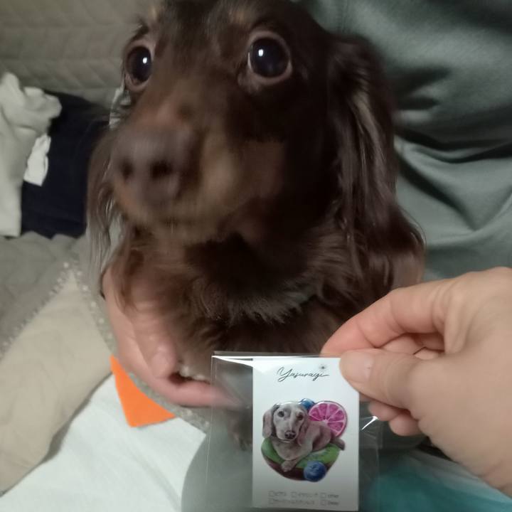 Fc53a08a d986 45d8 8050 cf08d9c360cc 1765921233891