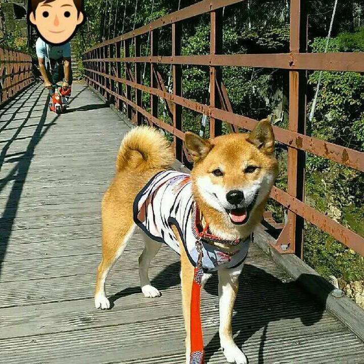 Fc53c148 d3eb 4a17 ab5a ba96812ad6bb 1538897722182