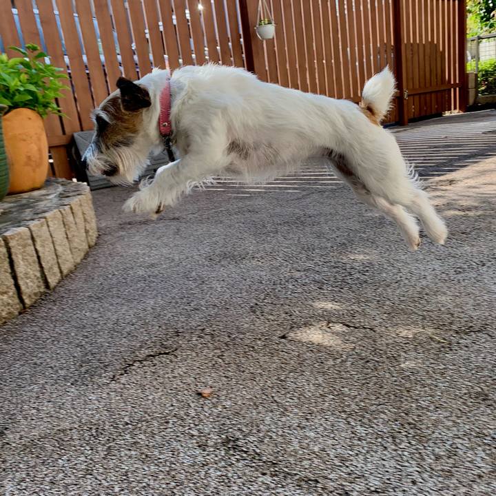 Fc53d5f9 b6d1 4b9e ac9c 4c38d1fdb1be 1653693934800