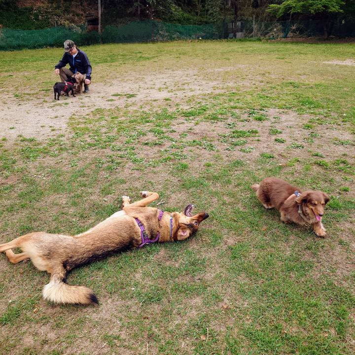 Fc53d8d4 9f78 4f76 8245 c97ecd6bbfe2 1745124081845