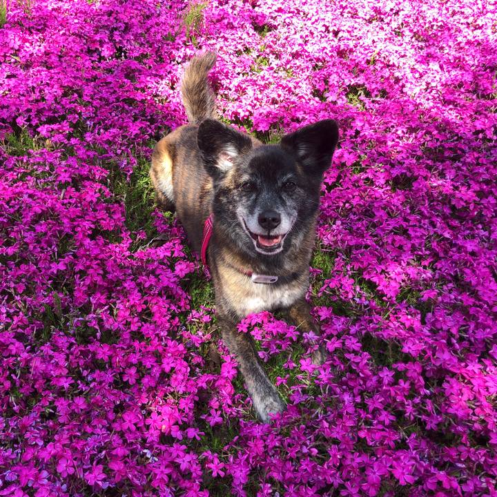 Fc53f7f7 82d1 4c9a 879d 6c172d201f94 1650528503190