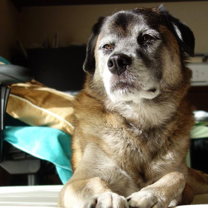 Fc543abe 9907 47b2 862e 5c6a56329a4f 1620000888117