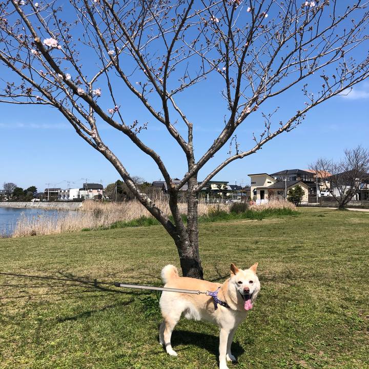 Fc548f90 bda7 4ccb a013 62723e809d28 1585052080694