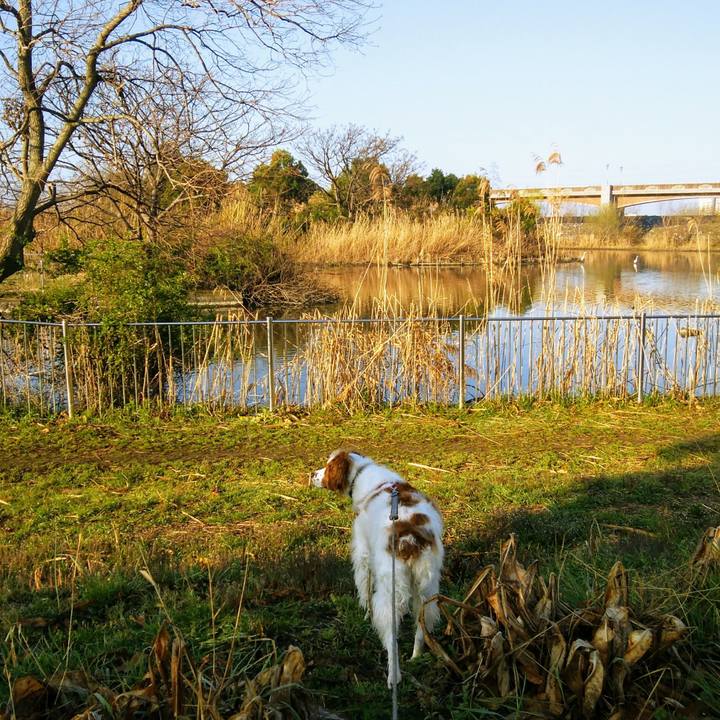 Fc54c8ab 30fb 47dd a31a 2163b159bfdf 1553041240692