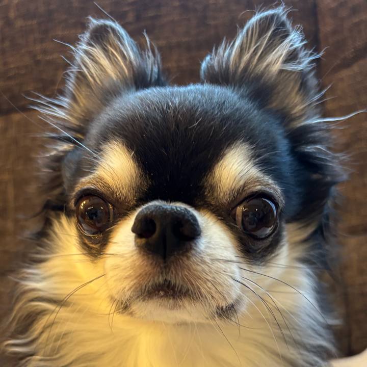 Fc54cf63 5800 4e9f 9fd1 28ac943e44f7 1758410057229