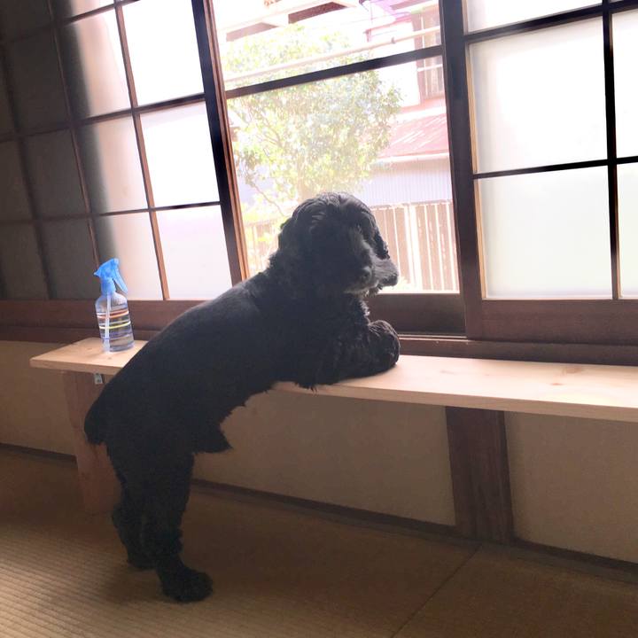 Fc54e947 1ab7 4341 a655 dafea48f303a 1522064367167