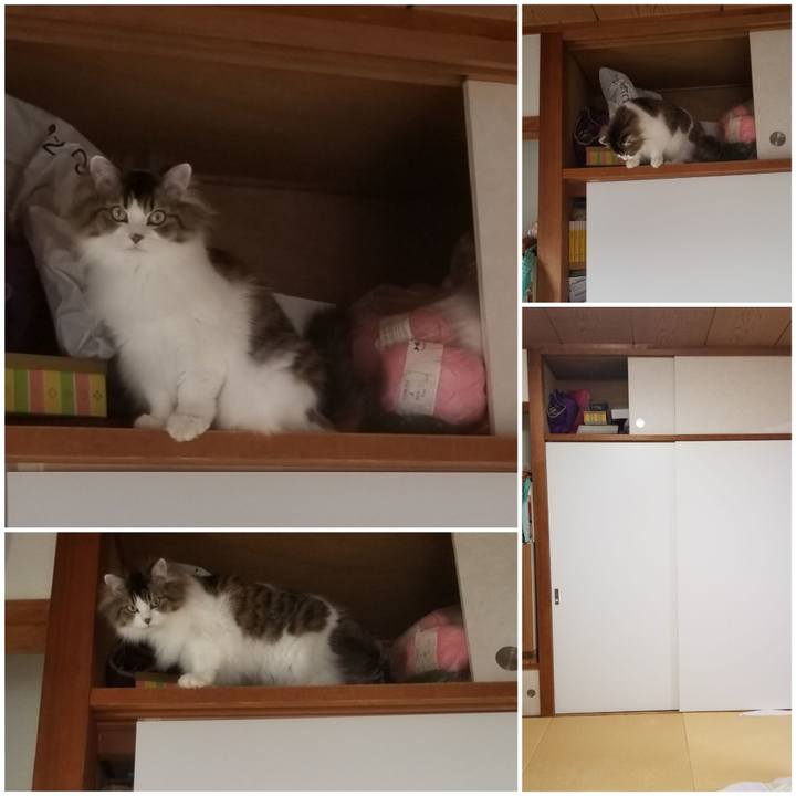 Fc54f352 2ed0 4da1 ac5a 1cf2d0c5178b 1587188375311