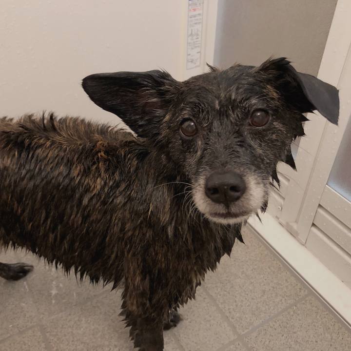 Fc54faab 0350 45ea afae 9d8a3fbde451 1612106755907