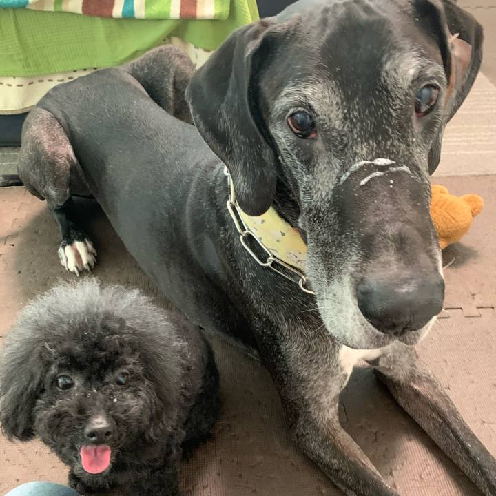 Fc550a8f 703a 4049 9346 3b1acef6f027 1599778190350