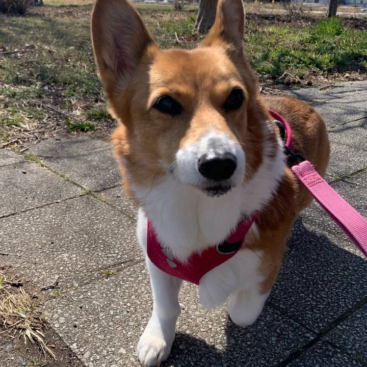 Fc551885 21a8 45e7 b4d1 197aa1ce74ff 1710414810465