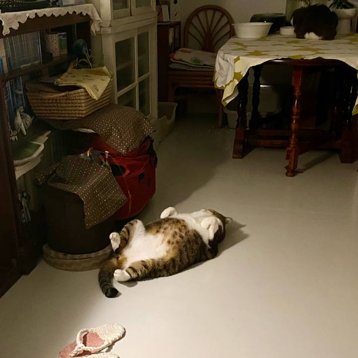 Fc557b8a 26c9 4470 b022 0f50ed6bb285 1757003883907