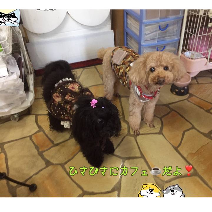 Fc55a2b5 0faf 483d b14c cd7c2c55e3f9 1541324193844