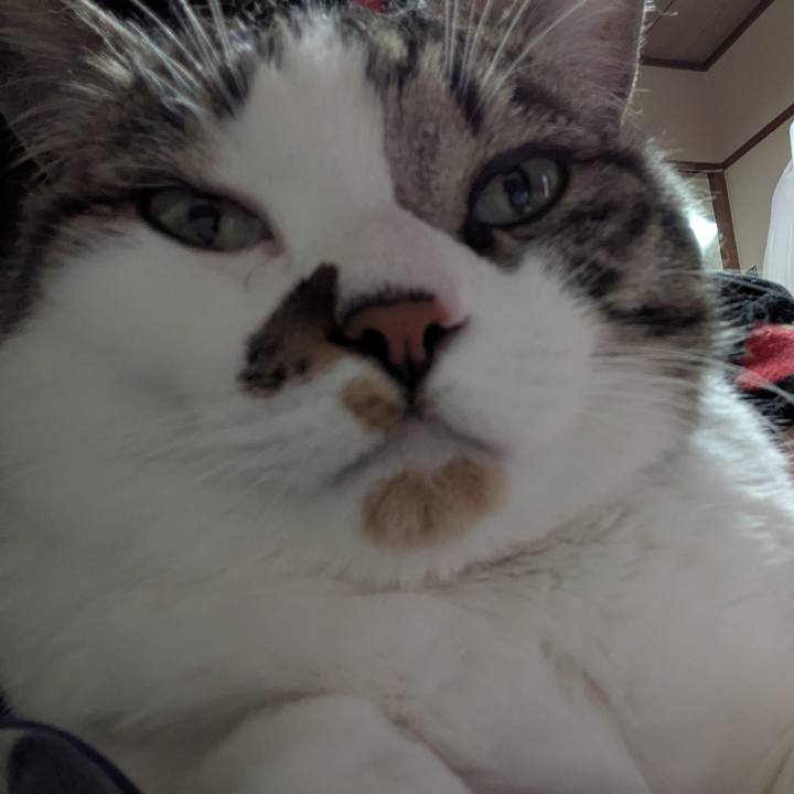 Fc55a96c d6e9 4e3e 8ace a56471e0752e 1747884890066