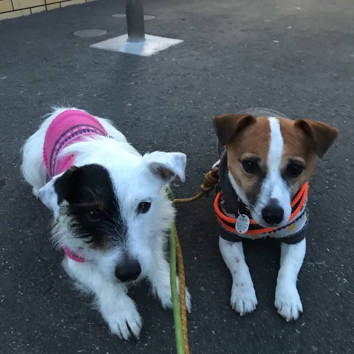 Fc55b039 8877 4f2a af91 0bfb5efa821f 1518944691022