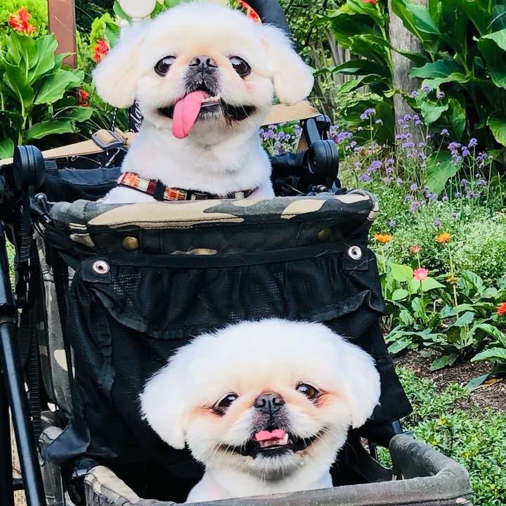 Fc55d10e 2a6e 4bd2 9964 434c5eecdcb7 1627778065590