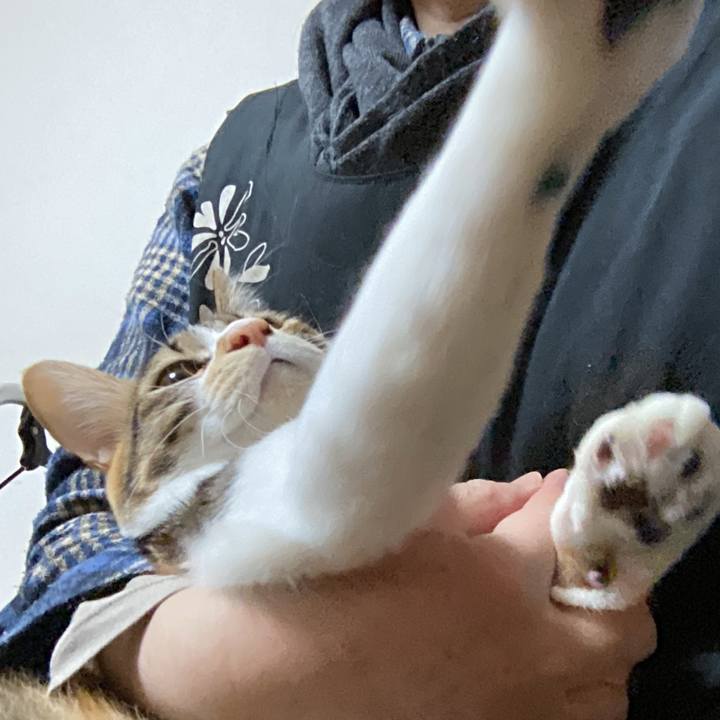 Fc55da57 f1c4 44e2 afd3 afc690de0882 1672354847453