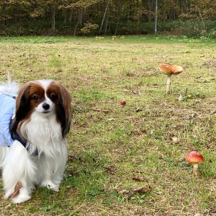 Fc55efa1 91b9 4129 bbe4 eabeadae3aaa 1665812001220