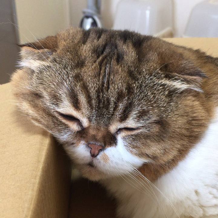 Fc55f0f7 6058 43b8 b1ef 06bab30ae0fe 1536032617034