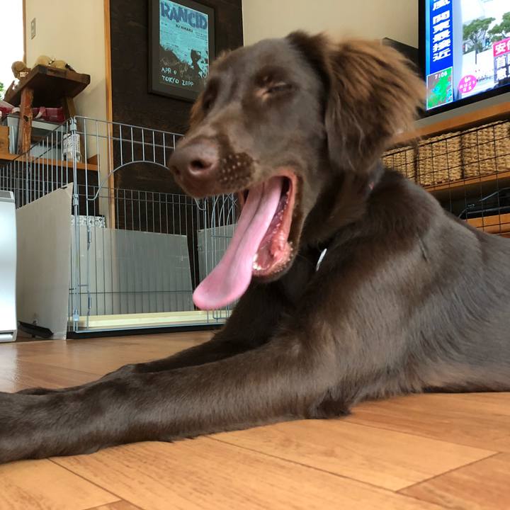 Fc5601e3 ab91 4c28 b906 a273500d026a 1561673594262