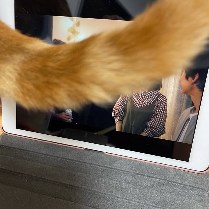 Fc5603bf afa5 4579 aa0f 62163a2d62a8 1616676950070