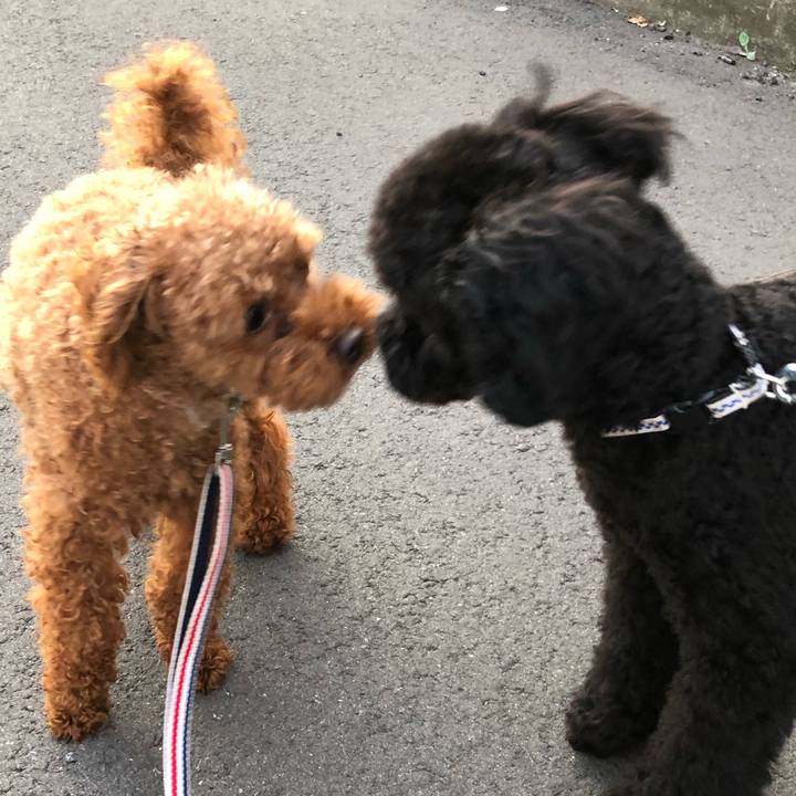 Fc561918 4ec6 488c ae91 6362fc47e590 1532386862112