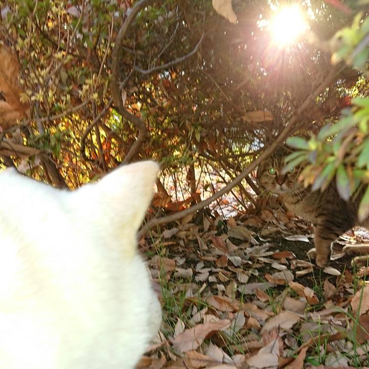 Fc562705 1f55 466e 9df7 262b5775a072 1514185255441