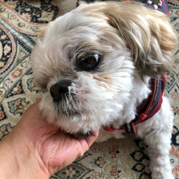 Fc5633bb 950f 4dc3 abd0 56ef57d854c3 1606168905900