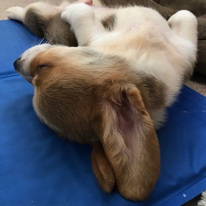 Fc563435 1d22 4039 b475 f80cf0d0bae6 1589291713456