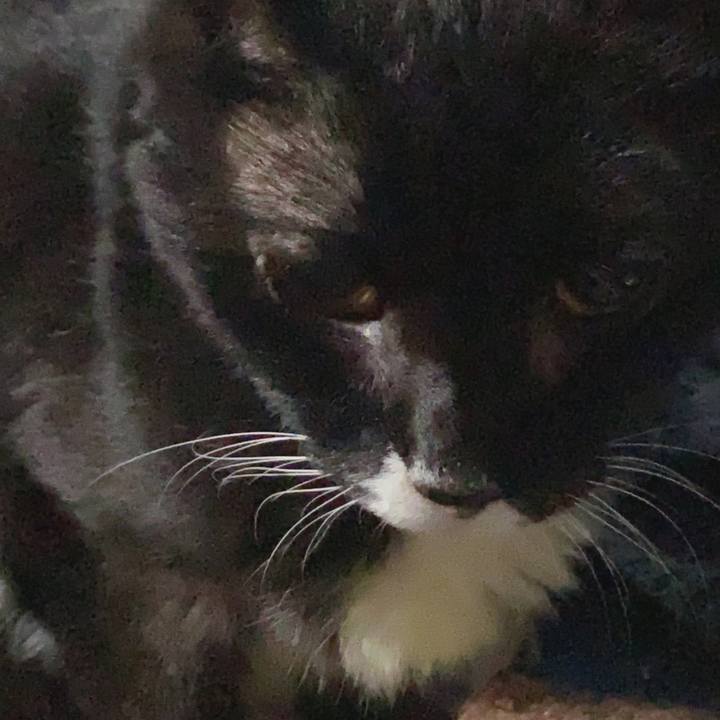 Fc564dd5 ec74 4243 b508 6cd004015169 1632677098765