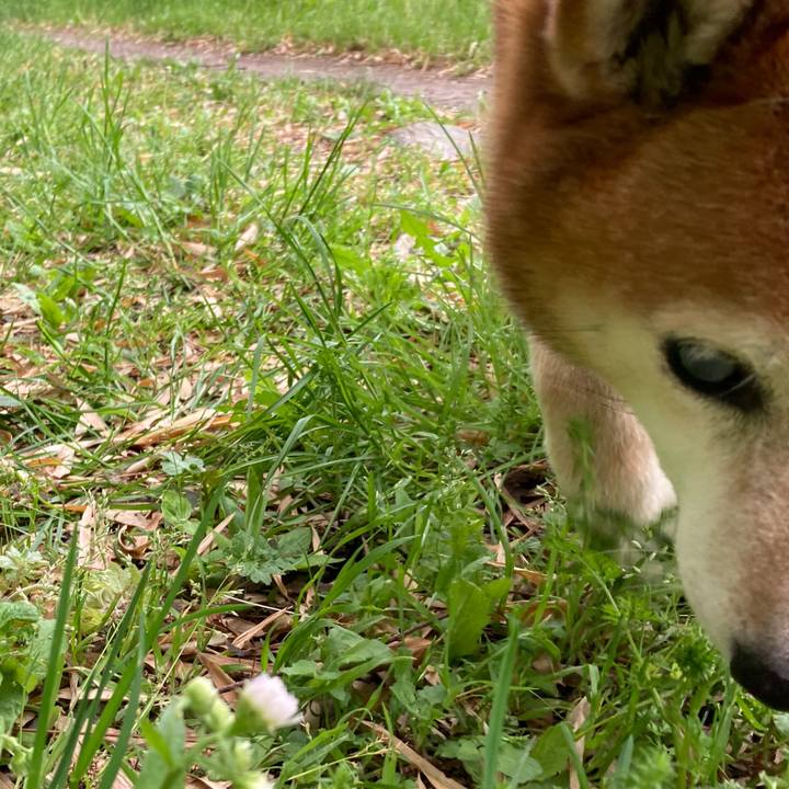 Fc566ce7 eeb4 456d a0f3 64189bd6c4f1 1682141033340