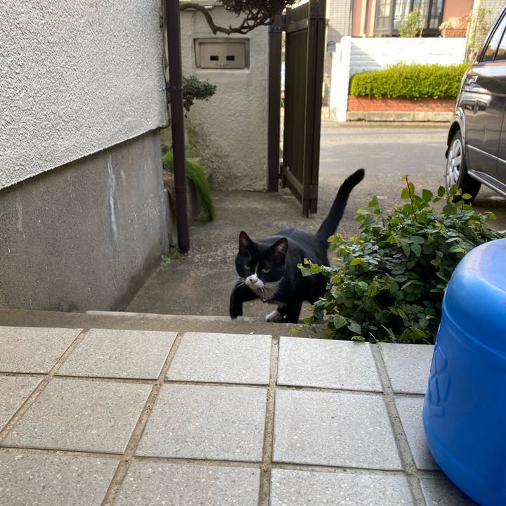 Fc567196 861d 4d8b b07c 8b5b4e23e0dc 1604319268250