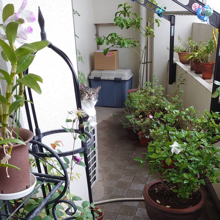 Fc567d1e e0f0 4b68 906b 6c9a45cc148b 1624135852338